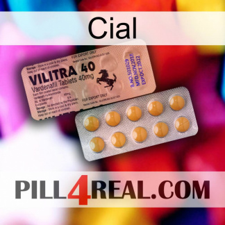 Cial 41